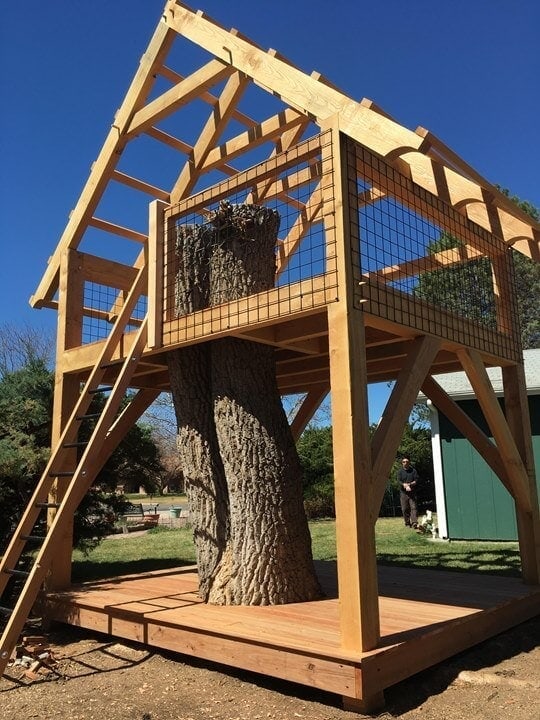 Tree house structure