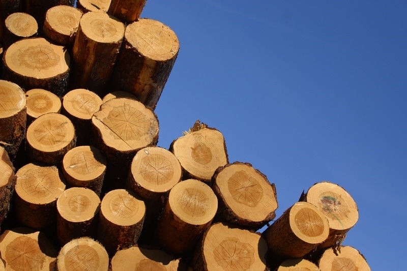 Choosing Timber Species