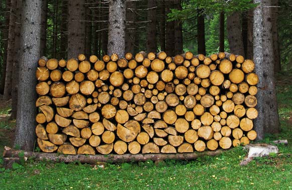 Best Storage Technique for Your Firewood