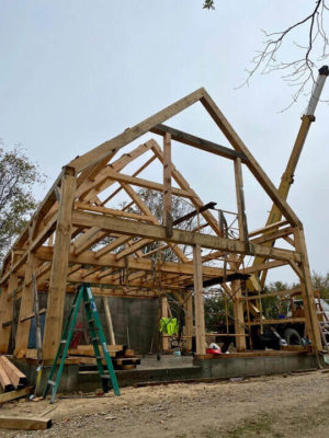 Hauser Timber Frames Eastern White Pine Outbuilding - Timber Frame HQ